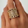 u8934633979_A_photo_showing_only_the_hand_with_the_ring_on_it_6a4328dc-ee9a-44fe-9782-c045c58ec938_0